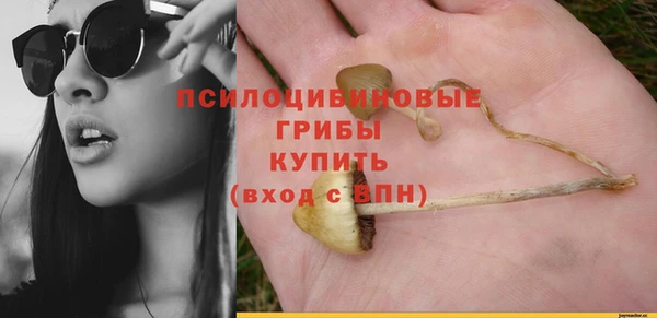 таблы Михайлов