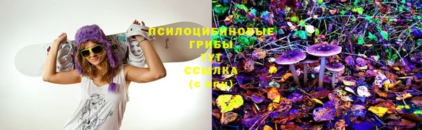бошки Надым