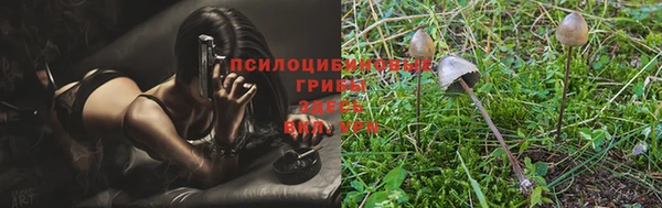 скорость Фёдоровский