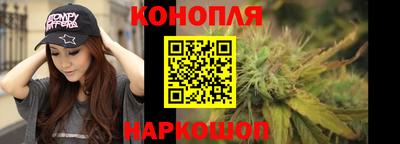 мдпв Аргун