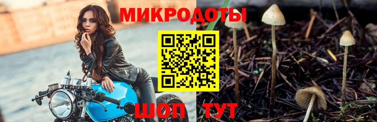 Псилоцибиновые грибы Magic Shrooms Зеленогорск