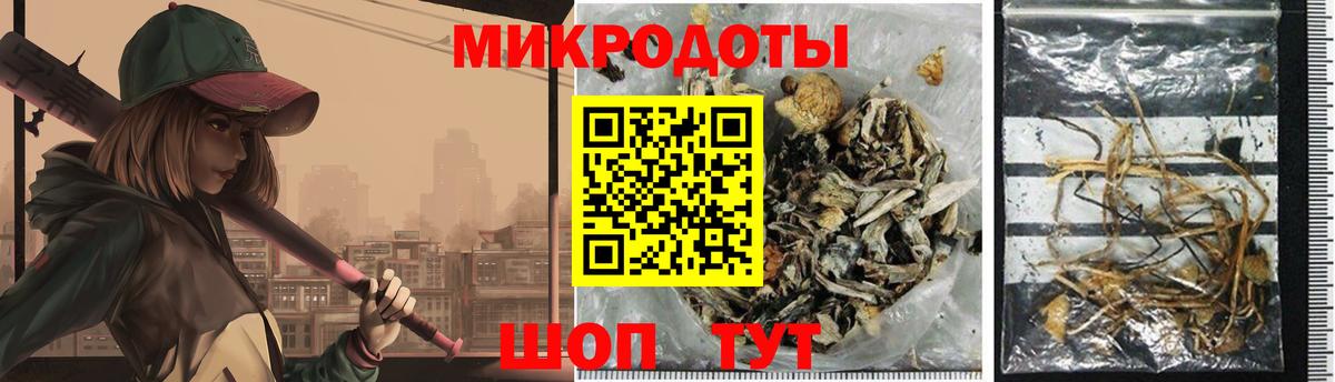Зеленогорск  Галлюциногенные грибы MAGIC MUSHROOMS  Вход с VPN 